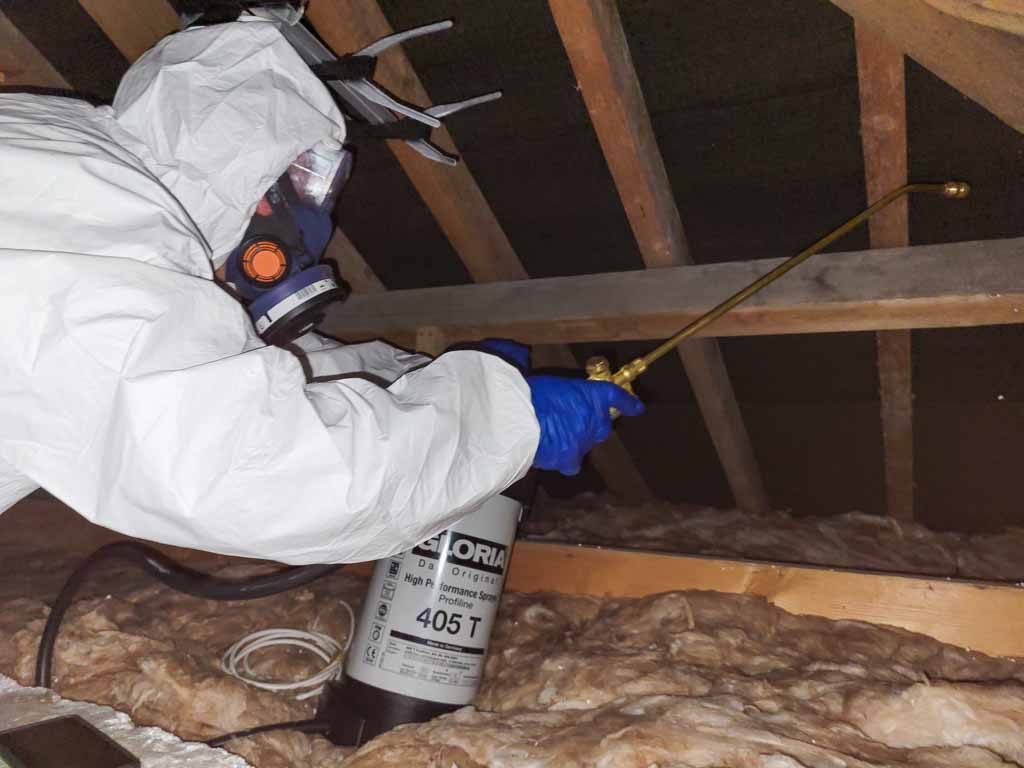 Spraying a loft